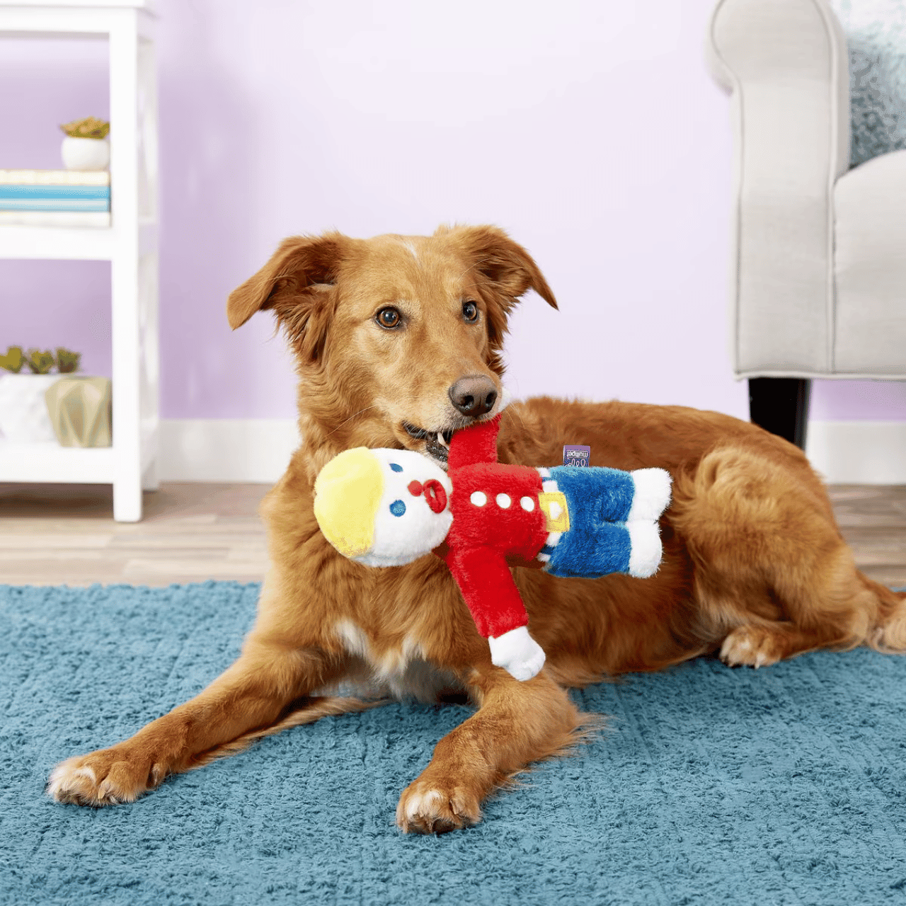 Squeaker Toys - Furry Buddy Dog Toys